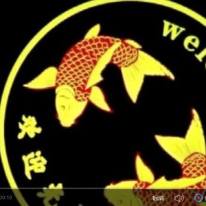 轉(zhuǎn)動投影燈