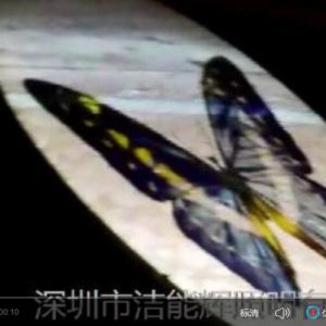 戶外靜態(tài)投影展示