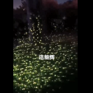 螢火蟲燈