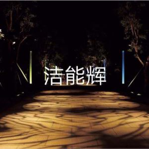公園--樹影投影
