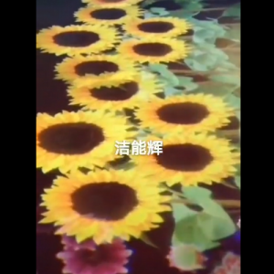 落花落葉同步切換投影