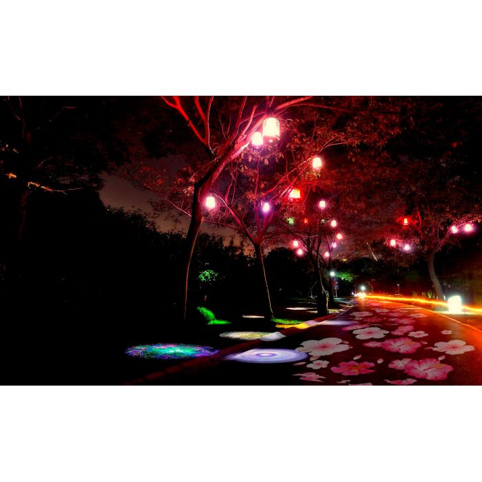 公園景觀亮化投影
