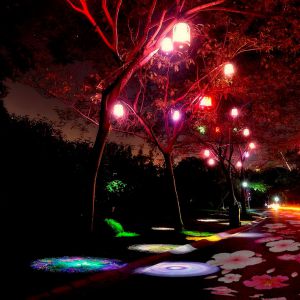 公園景觀亮化投影