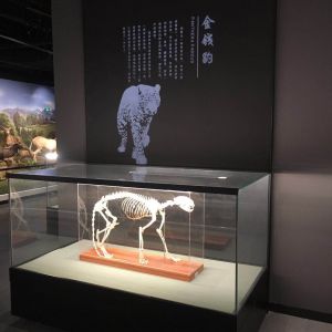 福建博物館--文字圖案投影