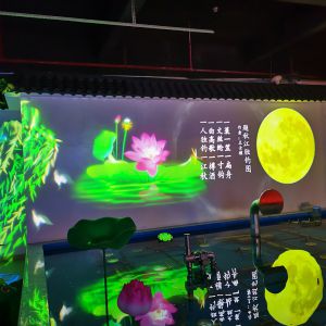 動(dòng)態(tài)月食飄影成像展示