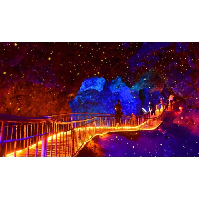 螢火蟲星空燈